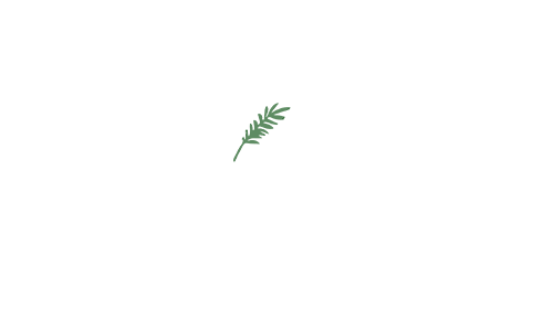 ACCPartnerLogos_Wild Paths
